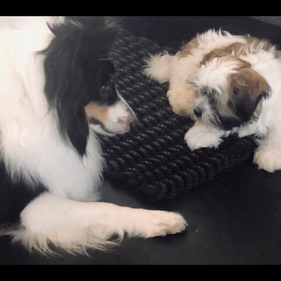 Meet your Posher, Monica - Picture 3 of 8